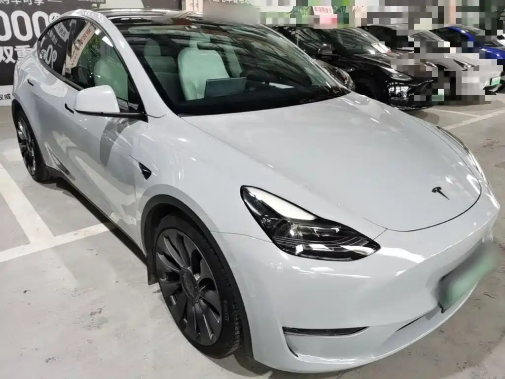 Tesla Model Y — миниатюра 4