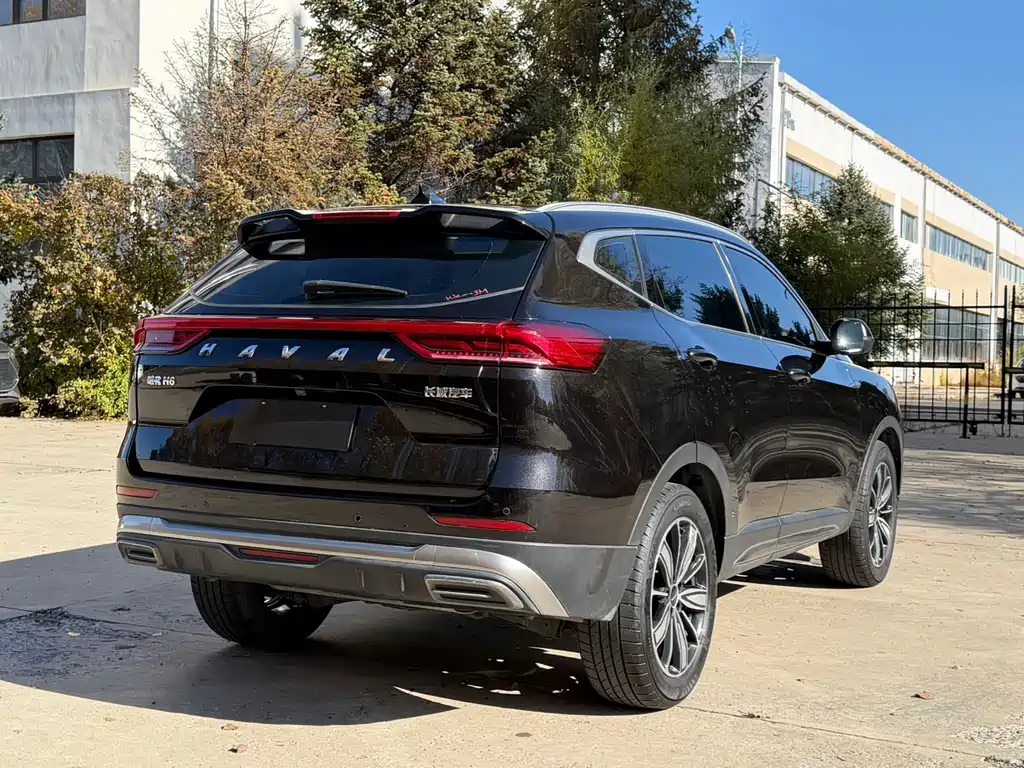 Haval H6 — миниатюра 5