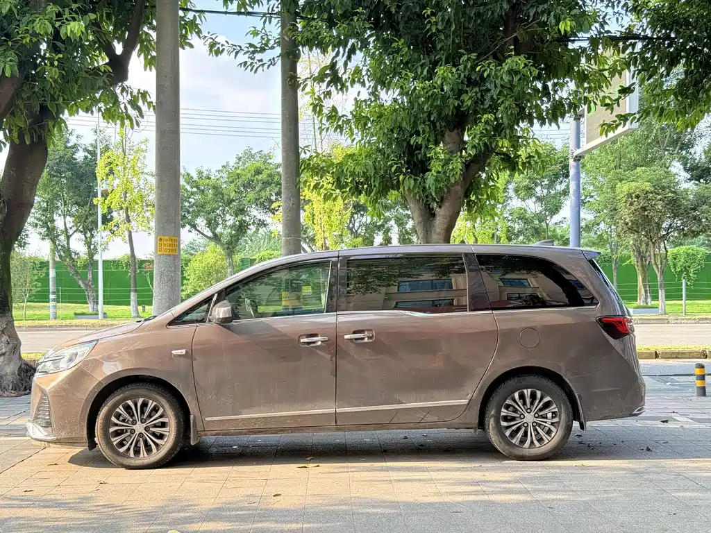 Buick GL8 — миниатюра 2