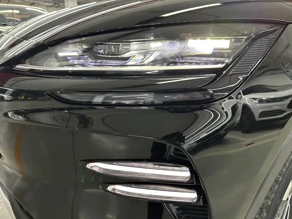 BYD SONGJIANG NEW ENERGY