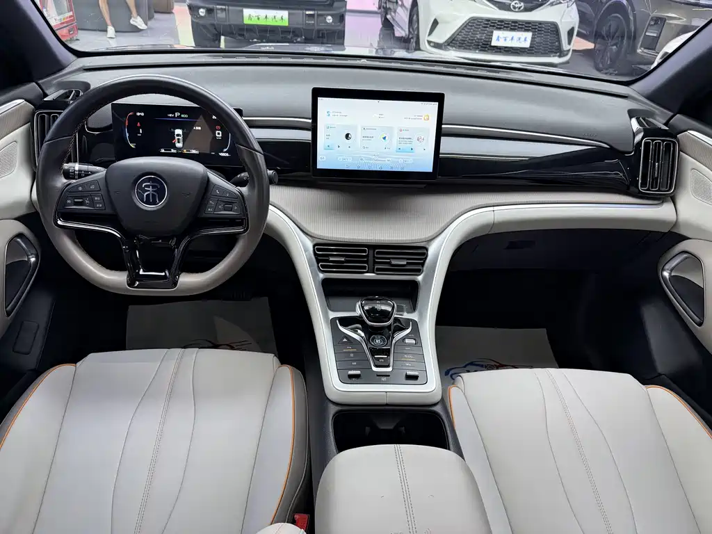 BYD Pro New Energy — миниатюра 5