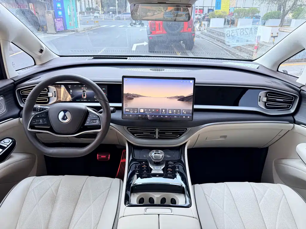 Denza Denza D9 — миниатюра 5