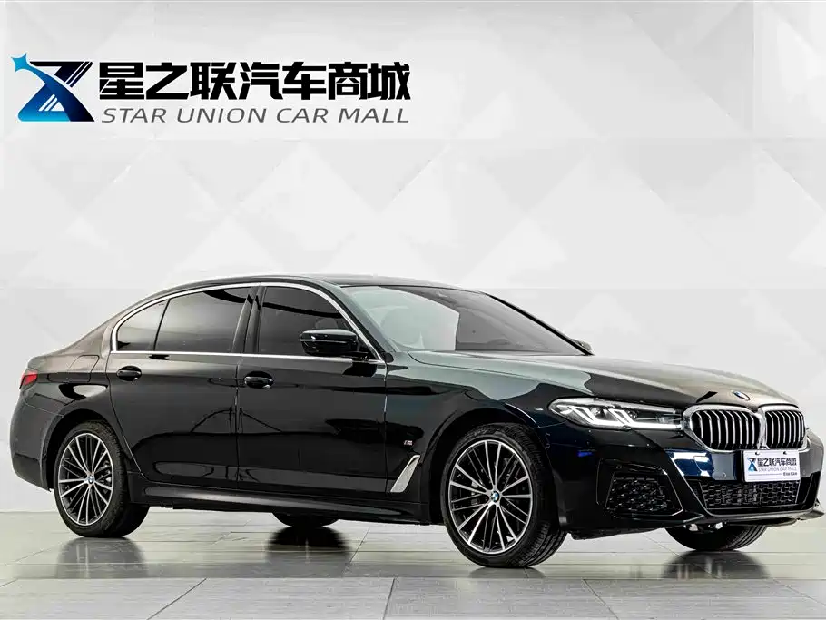 BMW 5 Series — миниатюра 5