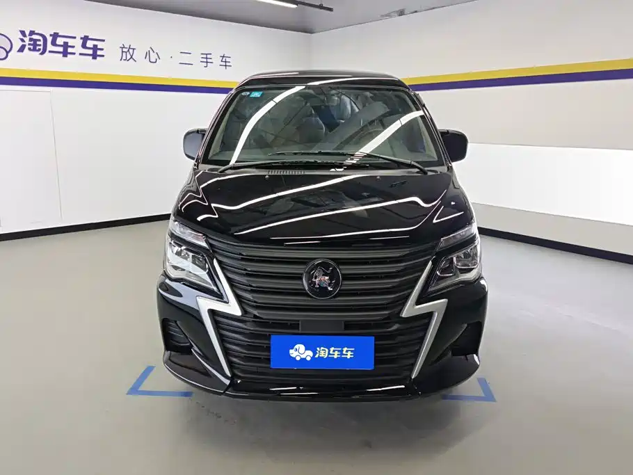 Fengxing Lingzhi — миниатюра 2