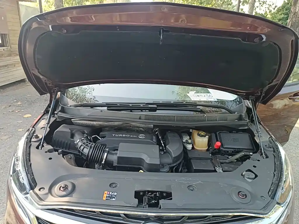 Buick GL8 — миниатюра 20