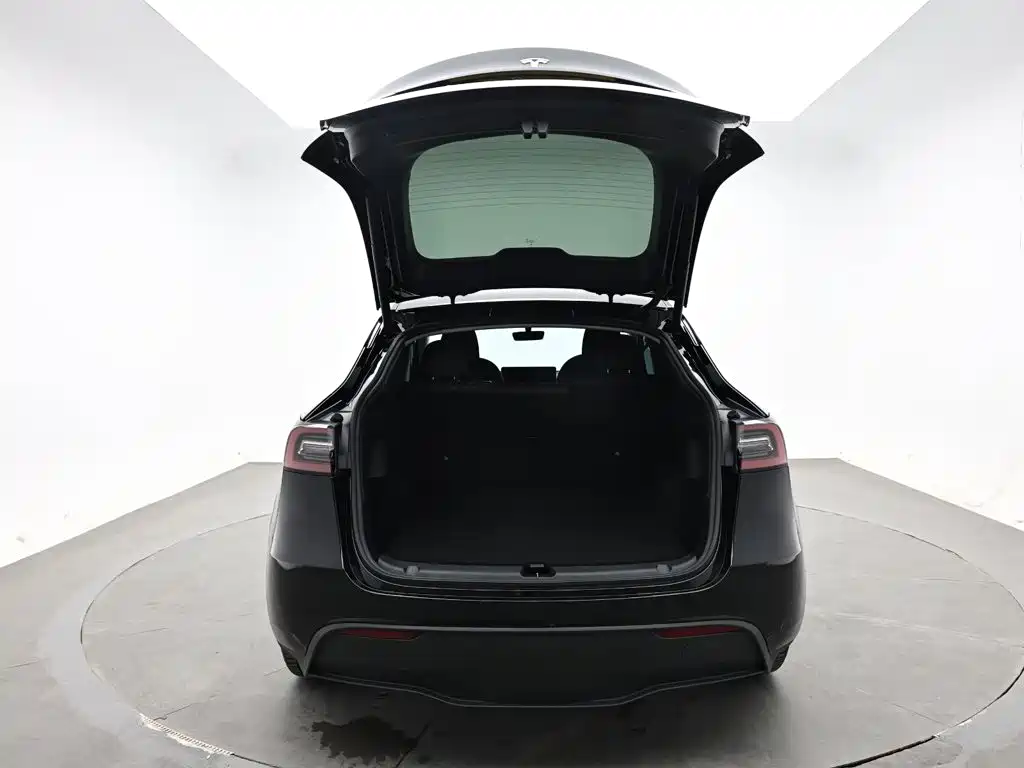 Tesla Model Y — миниатюра 10