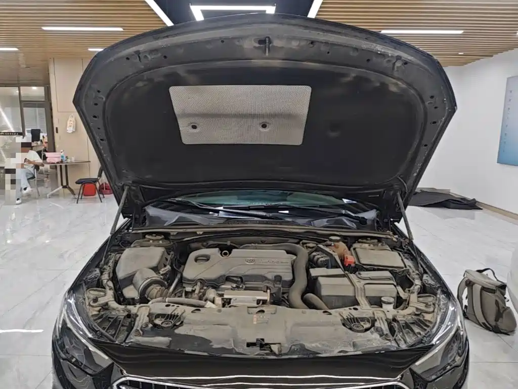 Buick Regal — миниатюра 20