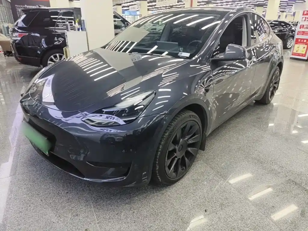 Tesla Model Y — миниатюра 2