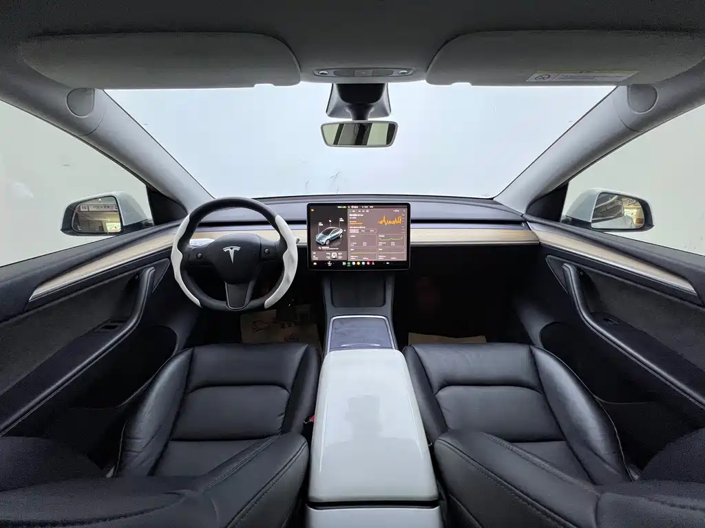 Tesla Model Y — миниатюра 7