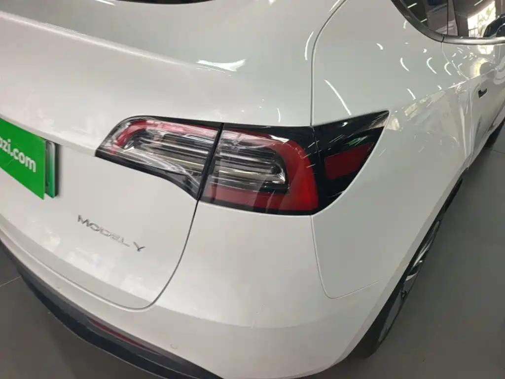 Tesla Model Y — миниатюра 8