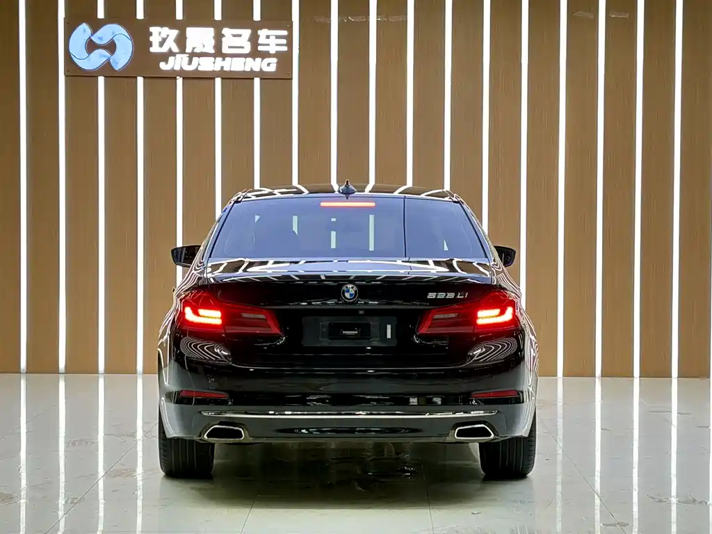 BMW 5 Series 5 2018 528Li