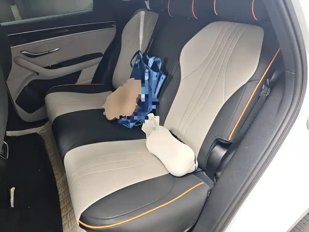 BYD PLUS New Energy — миниатюра 18
