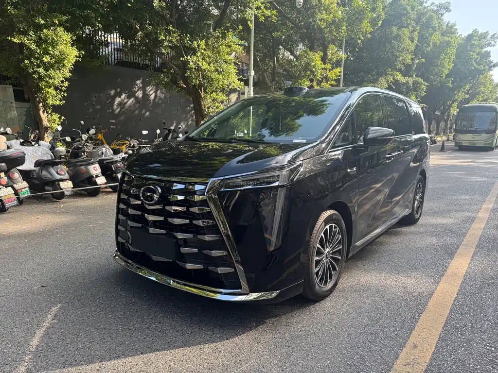 GAC Motor Trumpchi Xiangwang M8 — миниатюра 3
