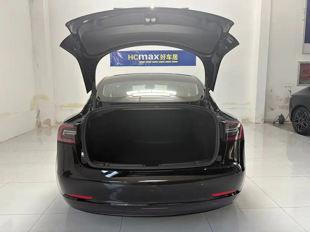 Tesla Model 3 — миниатюра 18