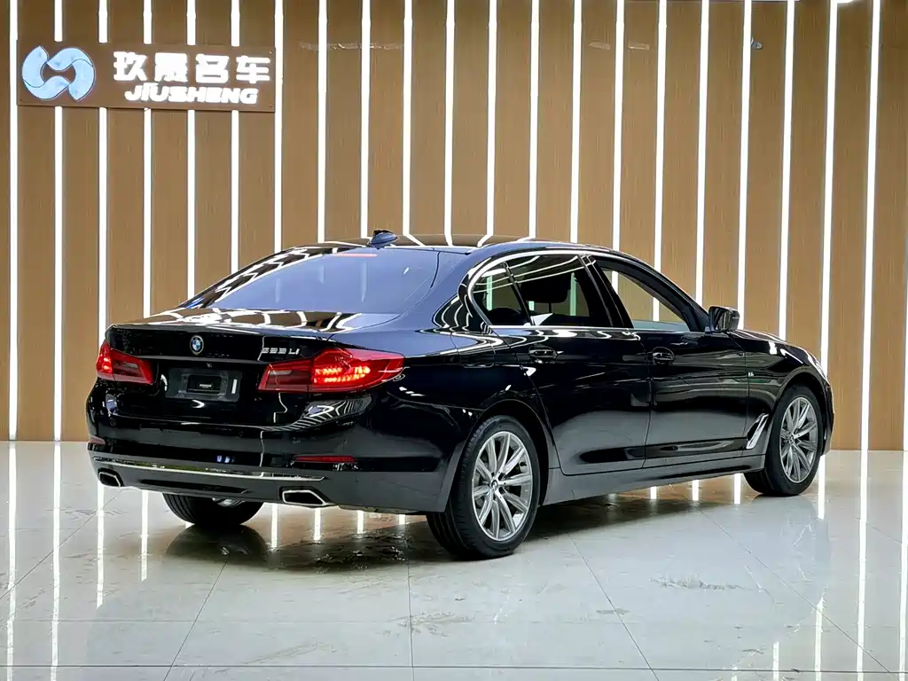 BMW 5 Series 5 2018 528Li