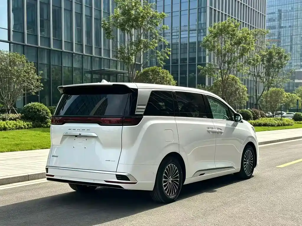 Denza Denza D9 — миниатюра 4