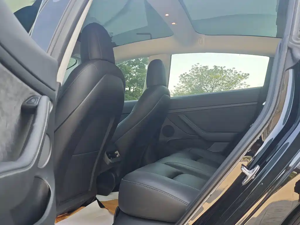 Tesla Model 3 — миниатюра 5