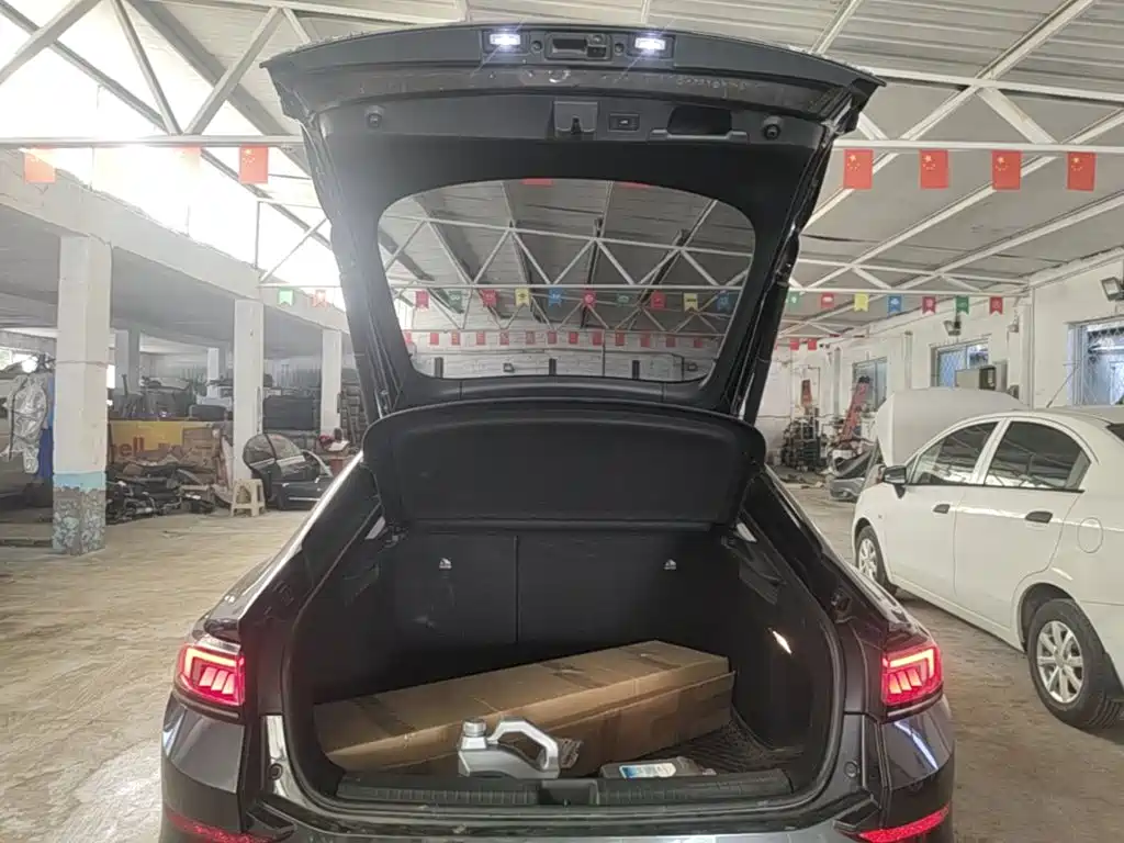 Volkswagen Lamando — миниатюра 19