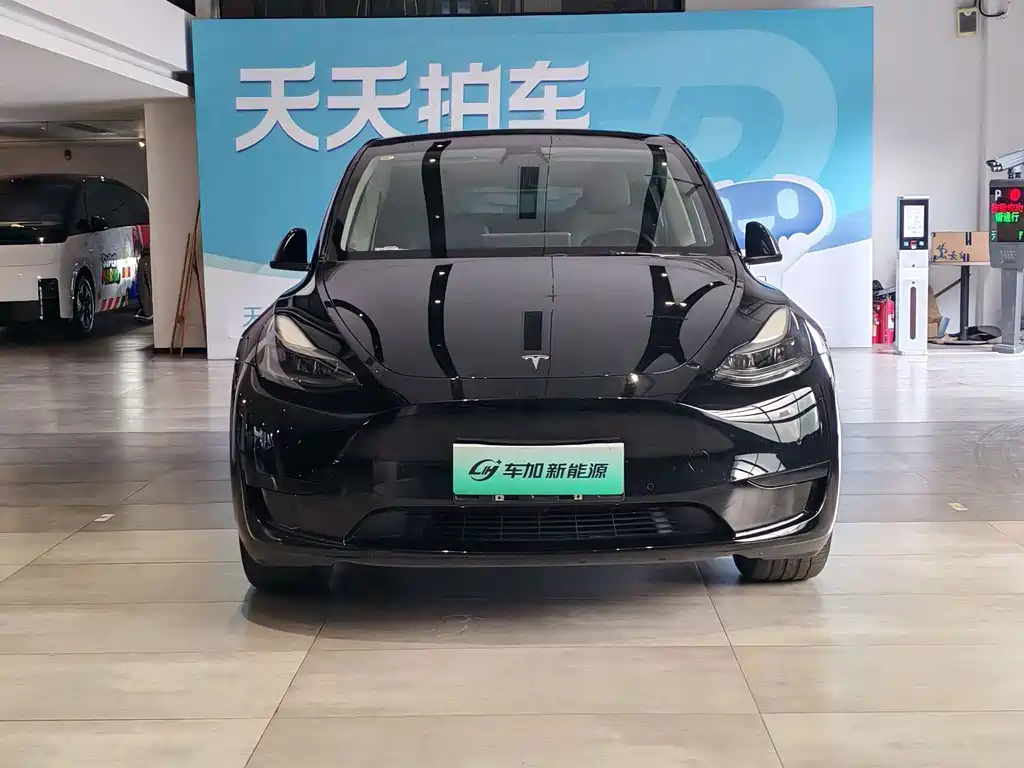 Tesla Model Y — миниатюра 2