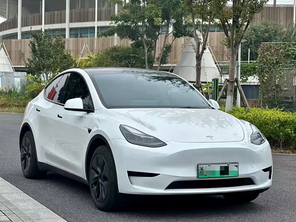 Tesla Model Y — миниатюра 3