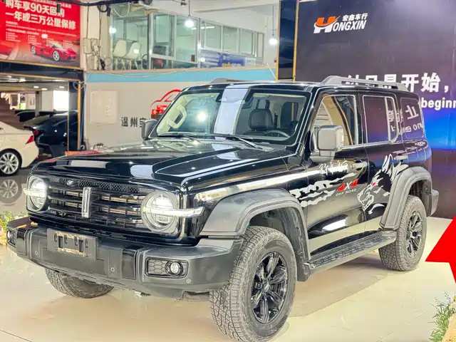 2021 TANK 300