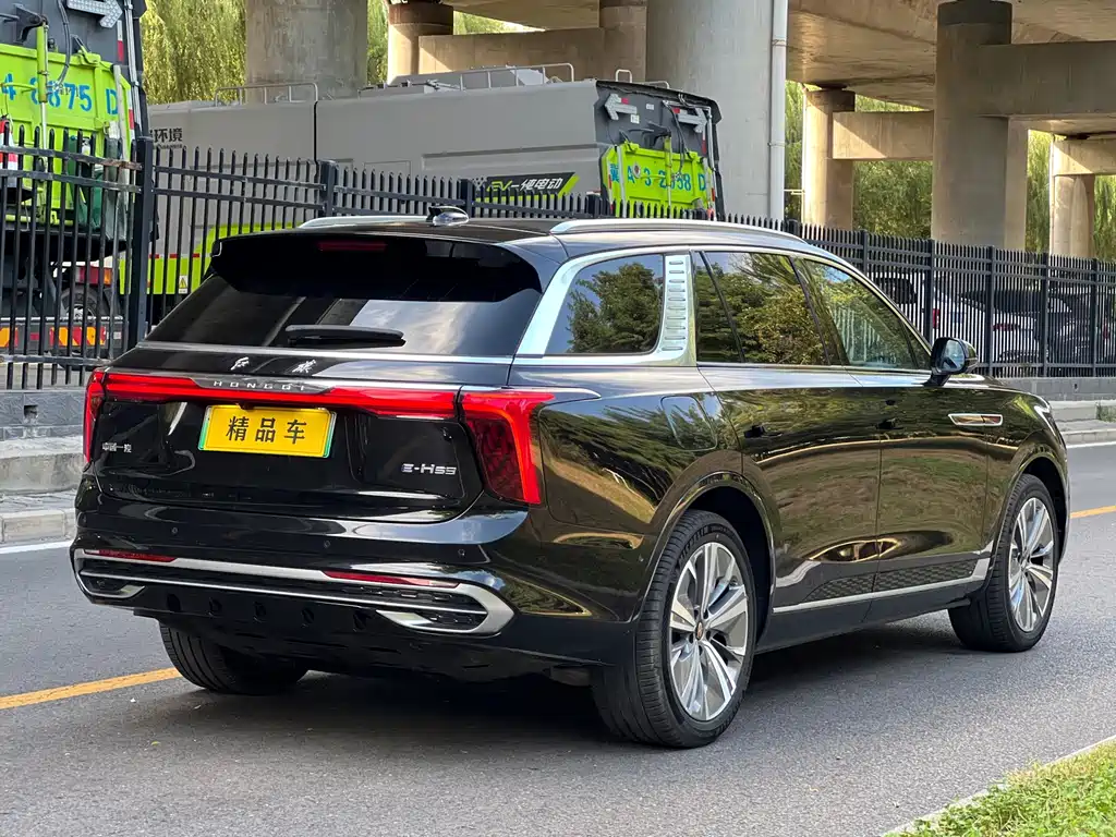 Hongqi Hongqi E-HS9 — миниатюра 7