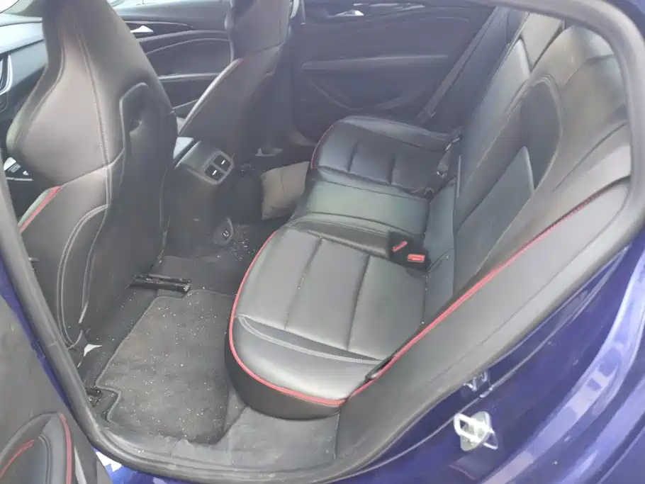 Buick Regal — миниатюра 11