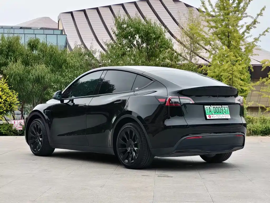 Tesla Model Y — миниатюра 7