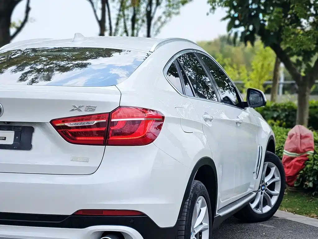 BMW X6 — миниатюра 19