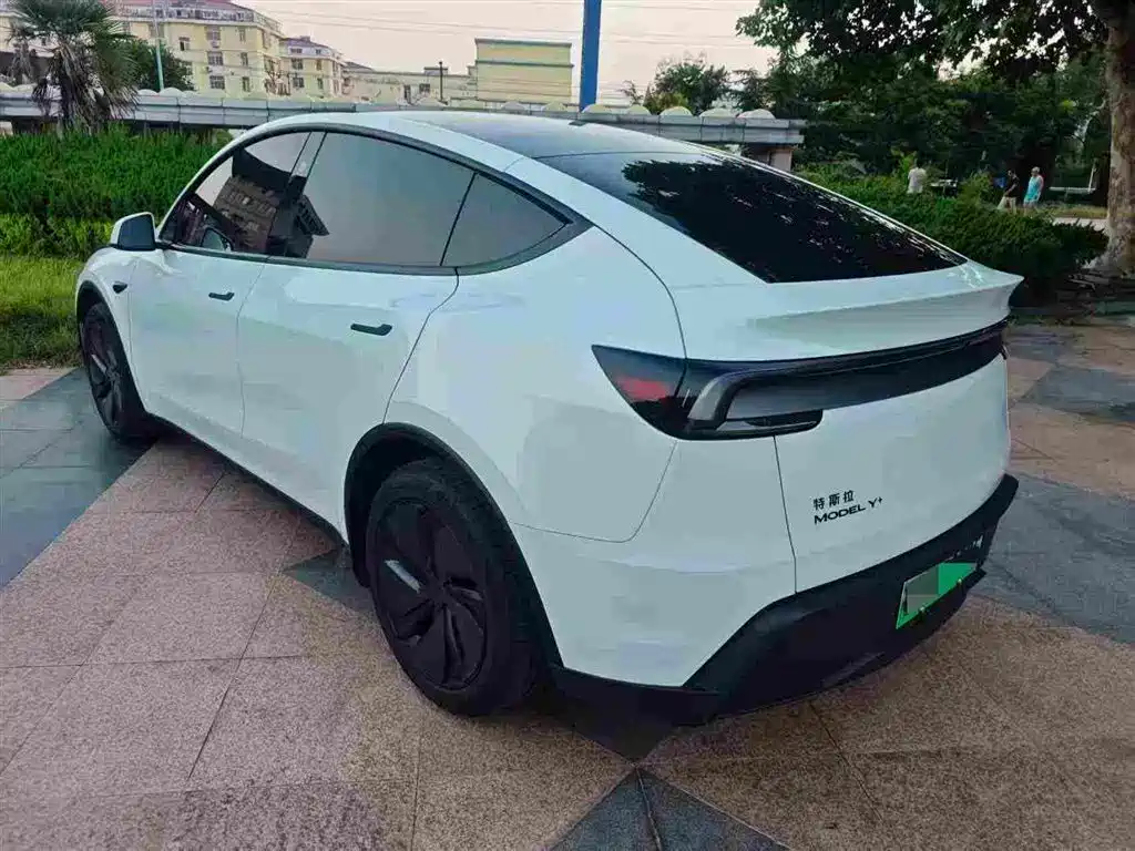 Tesla Model Y — миниатюра 10