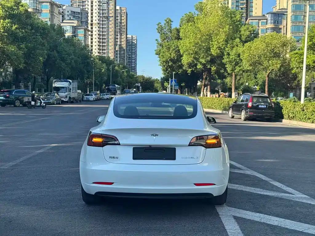 Tesla Model 3 — миниатюра 4