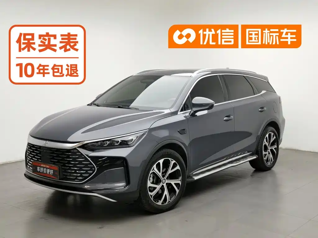 BYD Tang New Energy
