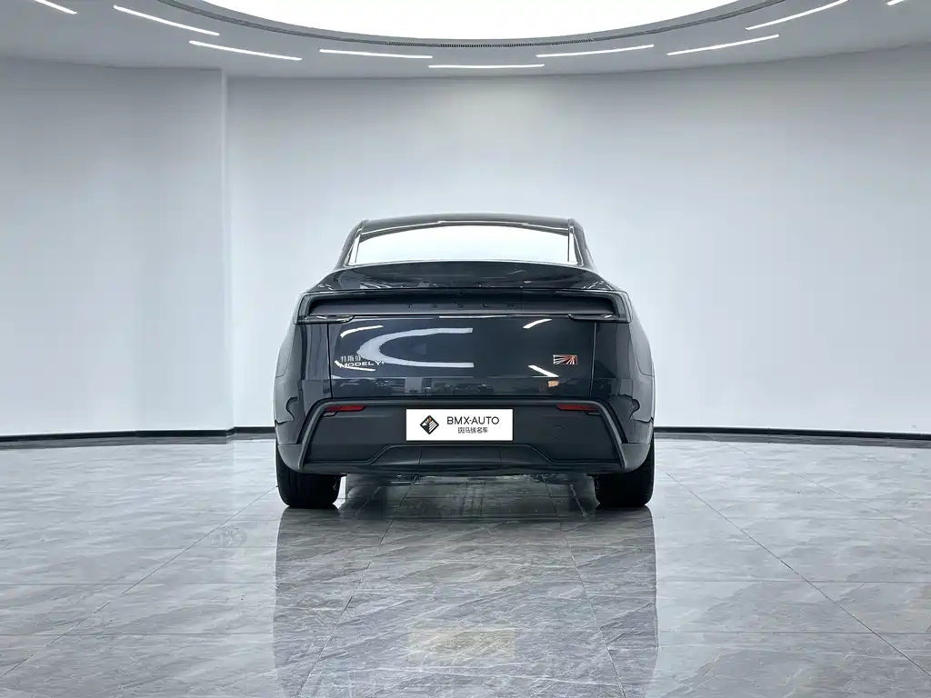 Tesla Model Y — миниатюра 6