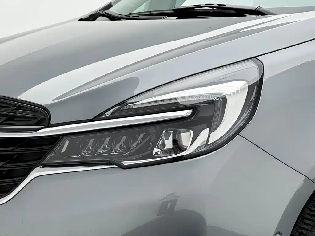 Buick GL8 — миниатюра 25