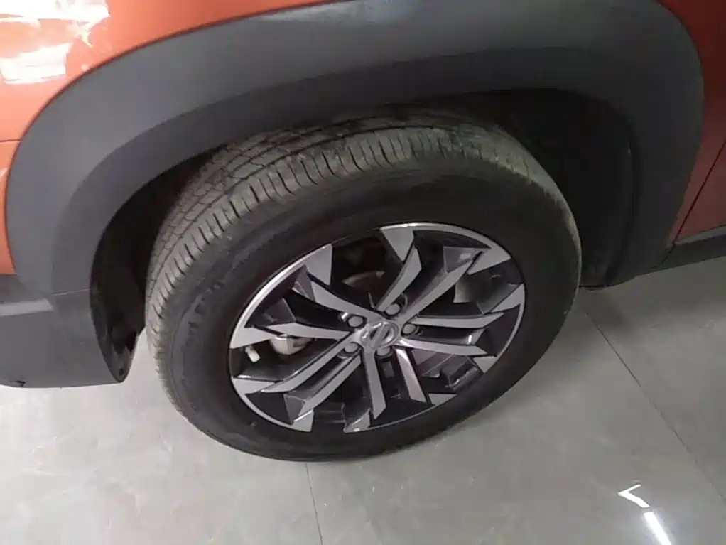 Haval Big Dog — миниатюра 21