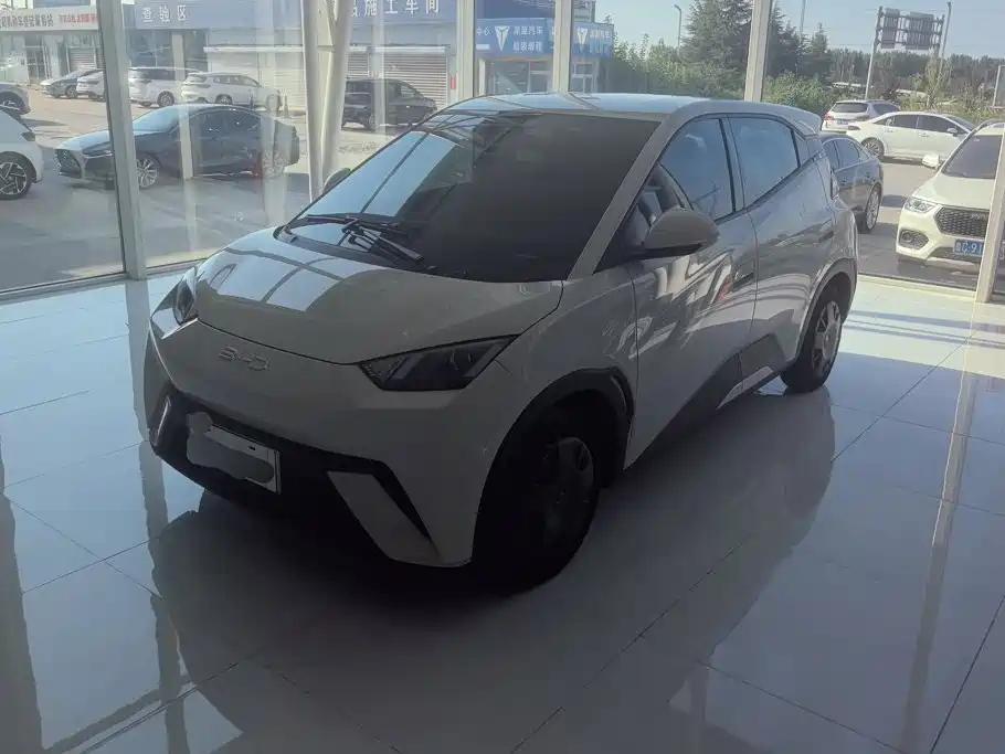 BYD Seagull