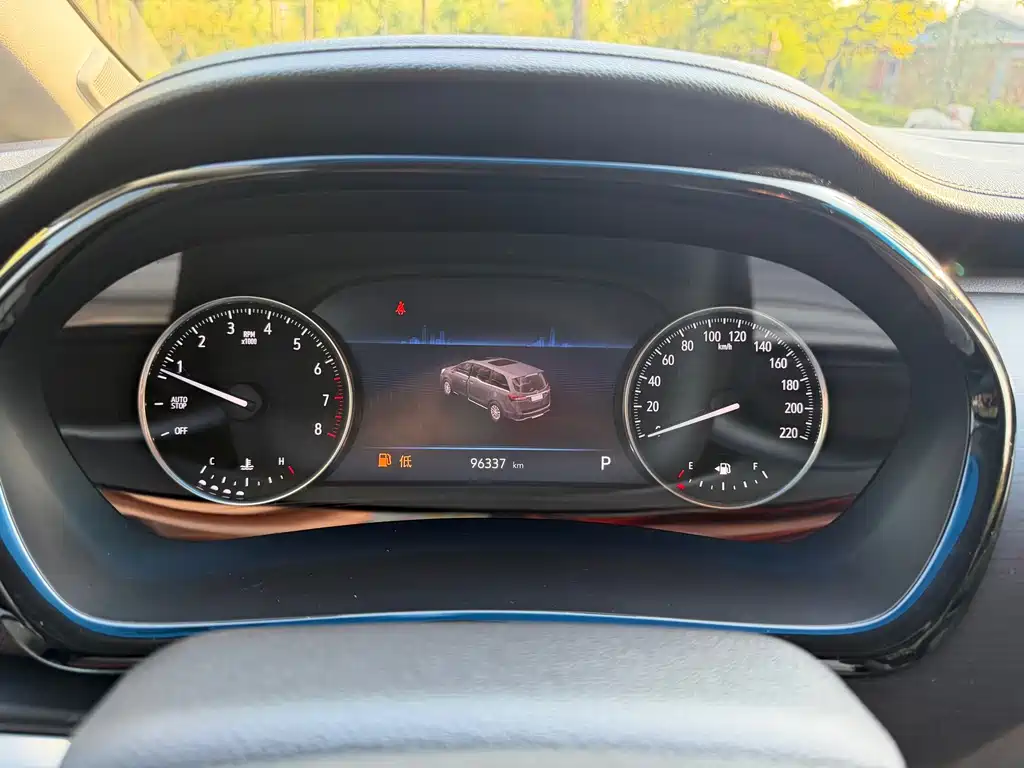 Buick GL8 — миниатюра 13