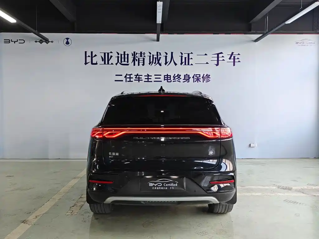 BYD Tang New Energy — миниатюра 5