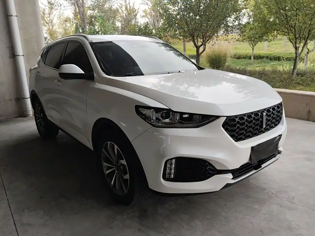 Wey Wey VV6 — миниатюра 4