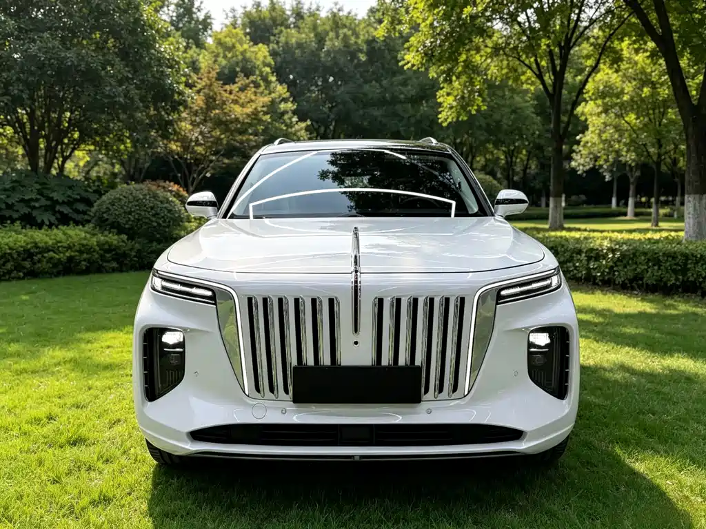 Hongqi Hongqi E-HS9 — миниатюра 2