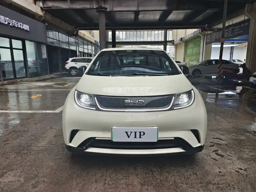 BYD Dolphin — миниатюра 2