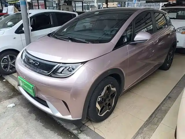 2023 BYD Dolphin