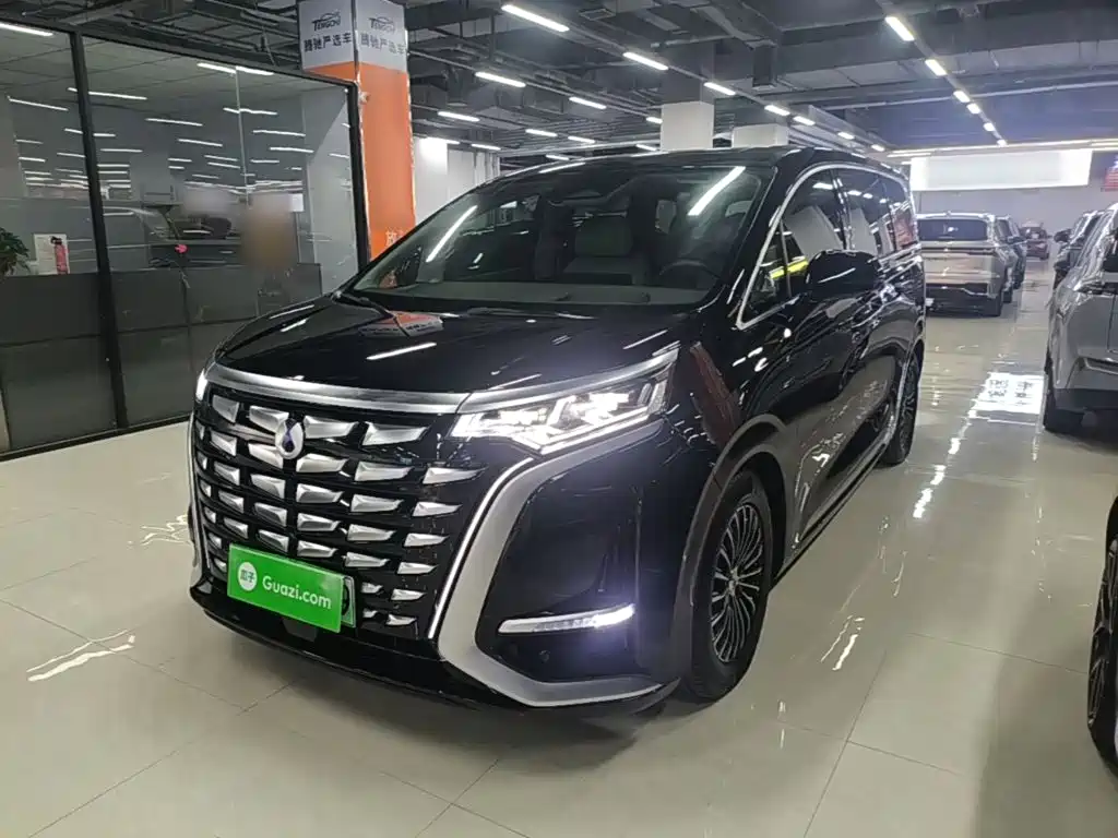 Denza Denza D9 — миниатюра 2
