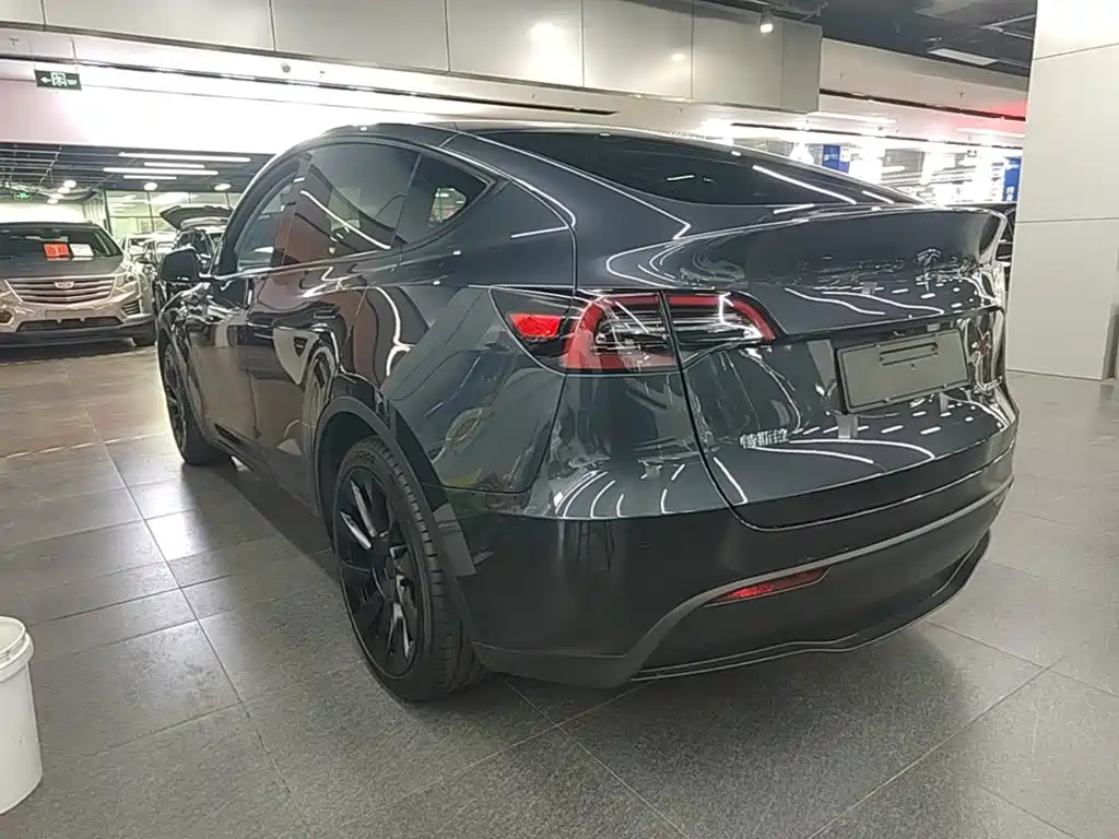 Tesla Model Y — миниатюра 5