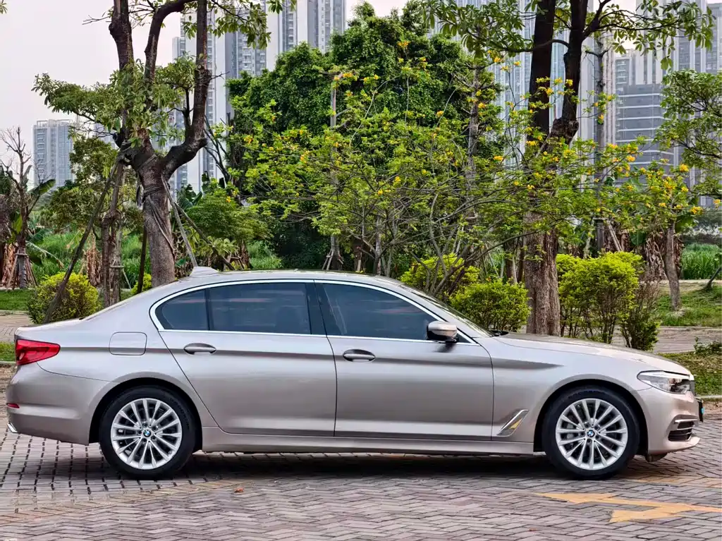 BMW 5 Series 5 2020 530Li Lead Luxury