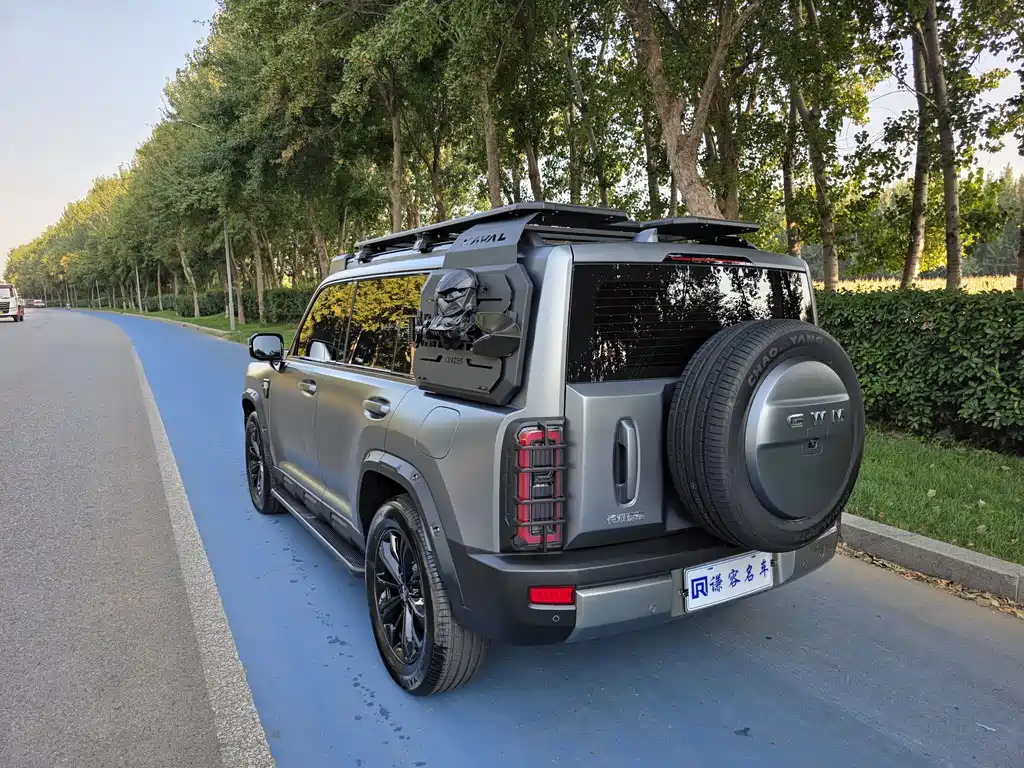 Haval Menglong Petrol — миниатюра 8