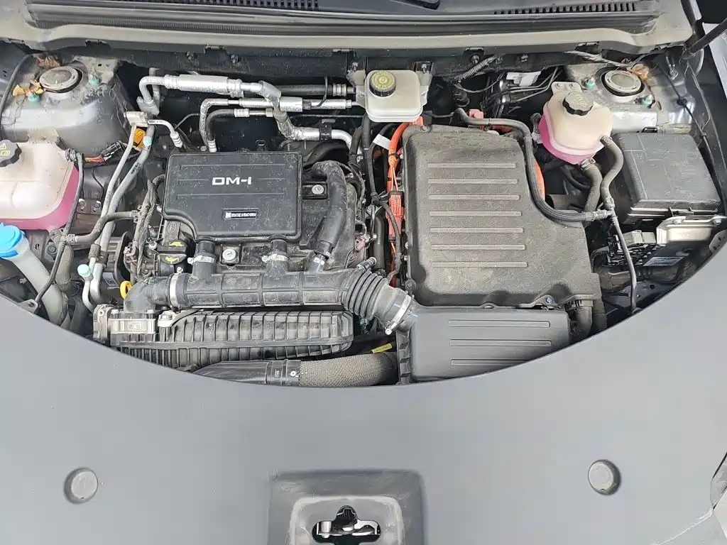 BYD Pro New Energy — миниатюра 16