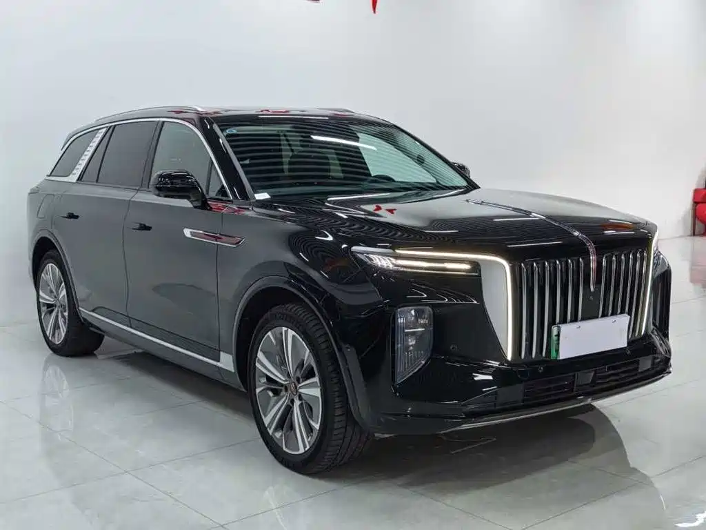 Hongqi Hongqi E-HS9 — миниатюра 4