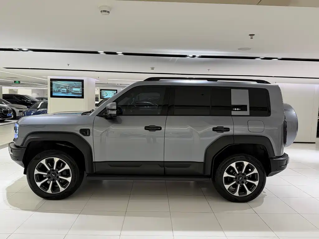 FANG CHENG BAO LEOPARD 5