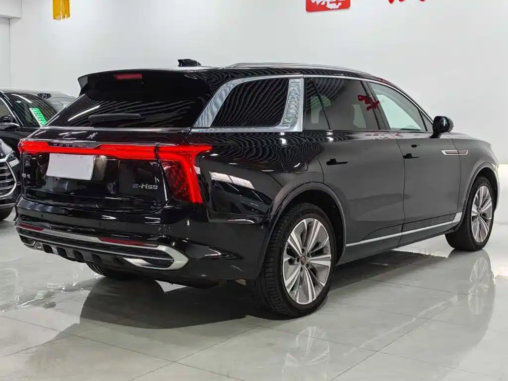Hongqi Hongqi E-HS9 — миниатюра 5